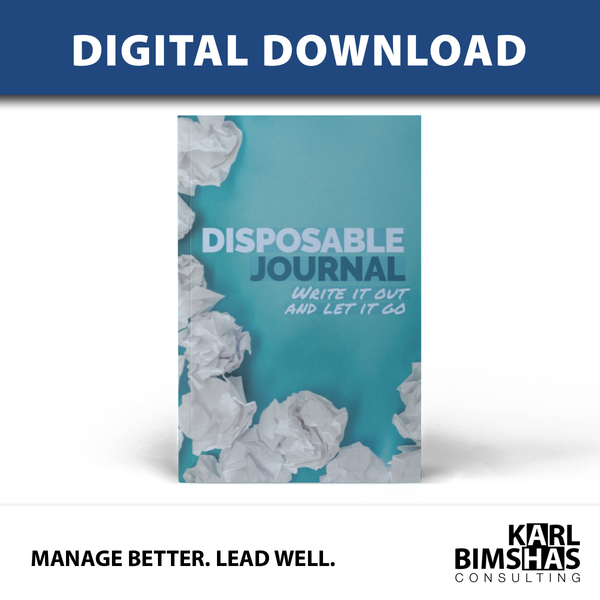 Disposable Journal - PDF