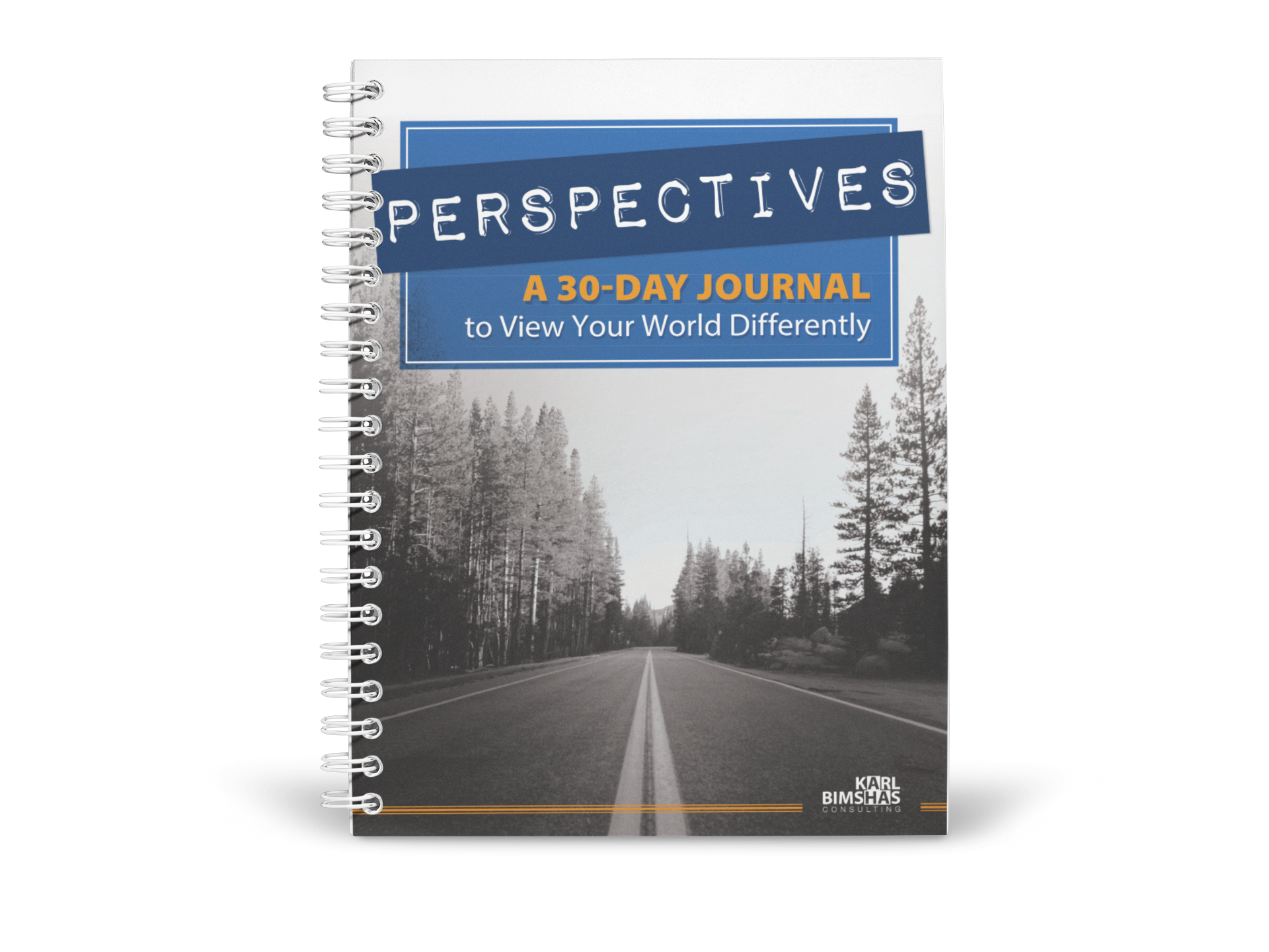 Perspectives: A 30 Day Journal to View Your World Differently by Karl Bimshas