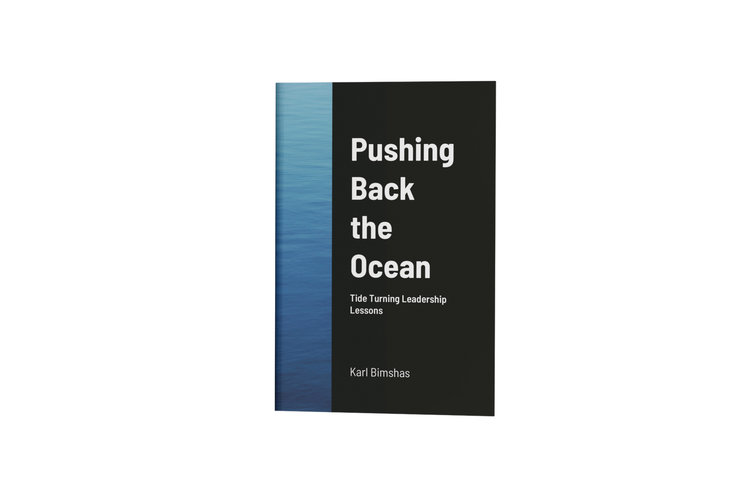 Pushing Back the Ocean - Paperback Book